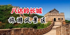 在线天堂中文官网中国北京-八达岭长城旅游风景区