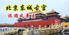 男人插女人黄色视频网站免费中国北京-东城古宫旅游风景区